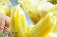 菠蘿蜜怎么吃？菠蘿蜜好吃嗎？