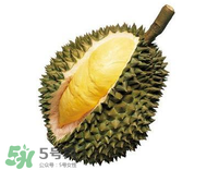 榴蓮可以和酸奶一起吃嗎？吃榴蓮喝酸奶會(huì)中毒嗎？