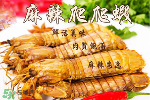 枇杷可以和海鮮能一起吃嗎？枇杷和海鮮一起吃吃好嗎？