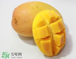 芒果什么季節(jié)成熟？芒果什么時(shí)候上市？