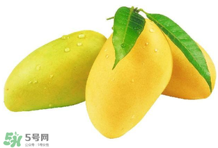 芒果哪里的最好吃？芒果哪種品種好吃？