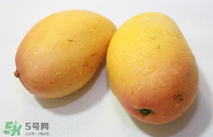 芒果哪里的最好吃？芒果哪種品種好吃？