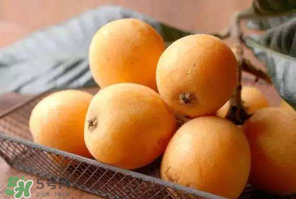 枇杷和菠蘿能一起吃嗎？菠蘿和枇杷一起吃會中毒嗎？