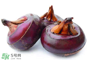 枇杷可以和荸薺一起煮水嗎？枇杷和荸薺能一起吃嗎？