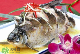 枇杷和魚能一起吃嗎？吃完魚可以吃枇杷嗎？