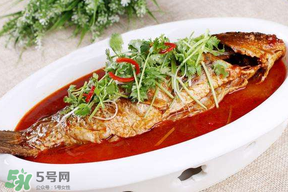 枇杷和魚能一起吃嗎？吃完魚可以吃枇杷嗎？