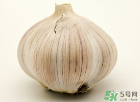 薺菜和大蒜能一起吃嗎？薺菜和蒜頭能一起吃嗎？