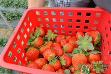 草莓是低糖水果嗎？草莓含糖量高嗎？