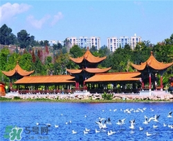 4月份去昆明穿什么？四月份去昆明穿什么衣服？