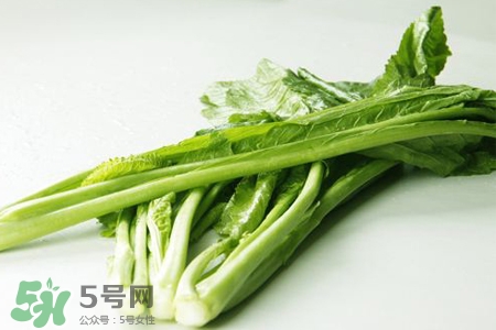春分要吃春菜嗎？春分為什么要吃春菜？