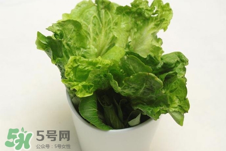 春菜為什么會(huì)苦？春菜發(fā)苦能吃嗎？