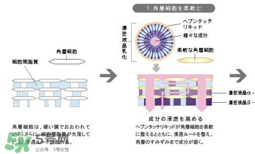 pola極光精華怎么用？pola極光精華使用方法