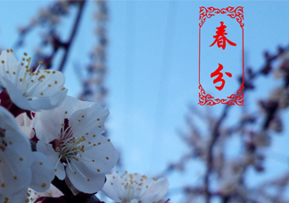 春菜為什么會苦？春菜發(fā)苦能吃嗎？