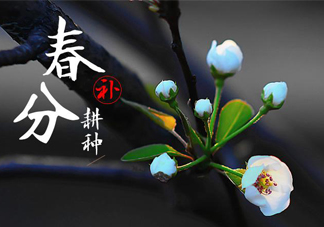 春分吃春菜有什么好處？春菜有什么營養(yǎng)價值？