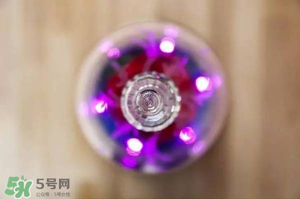 camino美女與野獸音響多少錢(qián)？camino玫瑰藍(lán)牙音箱價(jià)格