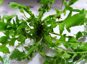 春天吃薺菜好嗎？春天吃薺菜有什么好處？