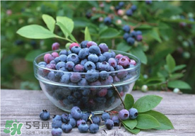 藍(lán)莓一天吃多少為宜？藍(lán)莓每天吃多少合適？