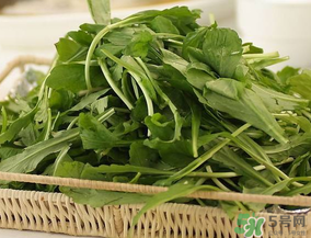 薺菜有毒嗎？吃薺菜會中毒嗎？