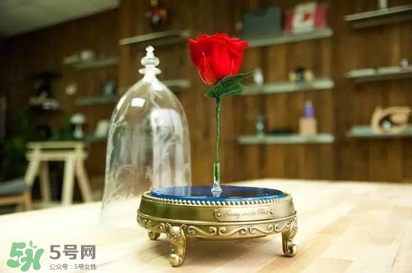 camino美女與野獸音響多少錢(qián)？camino玫瑰藍(lán)牙音箱價(jià)格