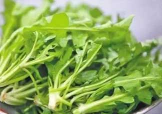 便秘能吃薺菜嗎？便秘可以吃薺菜嗎？