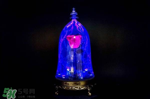 camino美女與野獸音響多少錢(qián)？camino玫瑰藍(lán)牙音箱價(jià)格