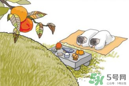 清明節(jié)回家好嗎？清明節(jié)回家探親好不好？