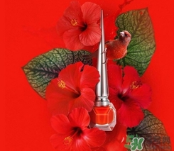 cl指甲油多少錢？cl紅底鞋指甲油專柜價(jià)格