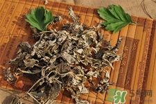 艾草是哪個季節(jié)的？艾草是什么季節(jié)采摘？