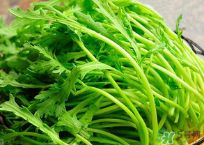 皇帝菜是茼蒿嗎？皇帝菜和茼蒿的區(qū)別
