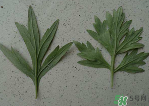 ?蒿子怎么去除苦味？?蒿子粑粑苦是什么原因？