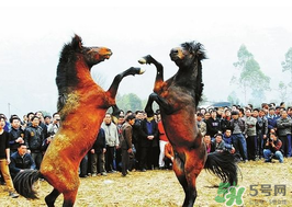 三月三有什么禁忌？三月三有什么講究？