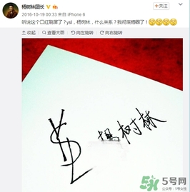 楊樹林口紅是什么牌子？楊樹林口紅是哪個國家的？