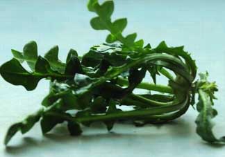 乙肝能吃薺菜嗎？乙肝病人可以吃薺菜嗎？