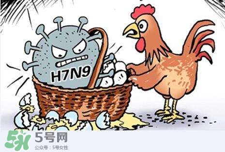 怎樣預(yù)防禽流感？如何預(yù)防禽流感