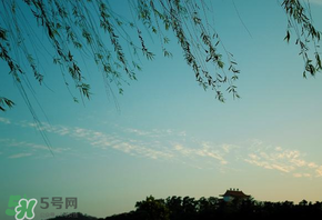 2017天氣什么時(shí)候回暖？2017什么時(shí)候升溫？