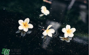 三月份為什么一直下雨？2017年三月份為什么雨多？