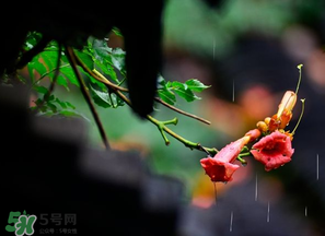 2017年梅雨季節(jié)是幾月？2017年梅雨季節(jié)是什么時(shí)候？