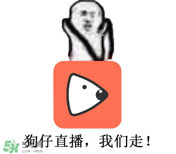 黃鱔為什么火了？黃鱔我們走為什么火了？