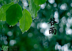 2017年谷雨是幾月幾號？2017年谷雨是哪一天？