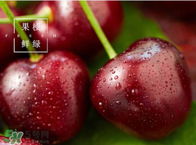 美早櫻桃多少錢一斤？美早櫻桃多少錢一斤2017？
