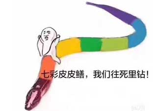七彩皮皮鱔我們往死里鉆是什么意思？七彩皮皮鱔我們?nèi)€好地方是什么意思？