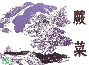 吃蕨菜會(huì)過(guò)敏嗎？皮膚過(guò)敏能吃蕨菜嗎？