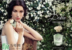 dolce gabanna香水哪款好聞？DG杜嘉班納香水推薦