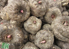 魔芋什么味道？怎么去除魔芋味道？