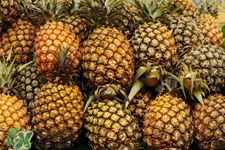 過敏性鼻炎可以吃菠蘿嗎？過敏性鼻炎能不能吃菠蘿？