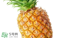 過敏性鼻炎可以吃菠蘿嗎？過敏性鼻炎能不能吃菠蘿？