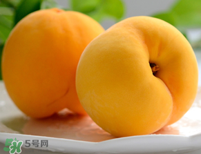 黃桃為什么那么貴？黃桃為什么這么貴？