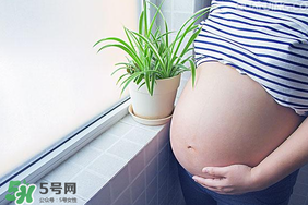 孕婦可以做美甲嗎？美甲對孕婦有什么影響？