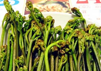 蕨菜有毒嗎？吃蕨菜會(huì)中毒嗎？