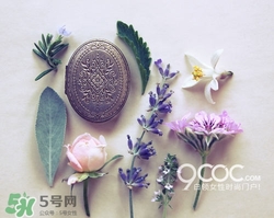 2017固體香膏哪個(gè)牌子好？2017固定香膏排行榜